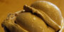 Toscanini’s Ice Cream (Cambridge, MA)