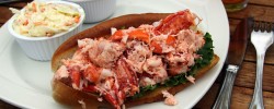 Latitudes Lobster Roll