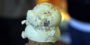 Bi-Rite Creamery (San Francisco, CA)