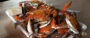 Lazy Susan’s (Lewes, DE)