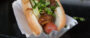 AsiaDog (New York, NY)