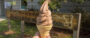 Offbeat Creemee (Winooski, VT)